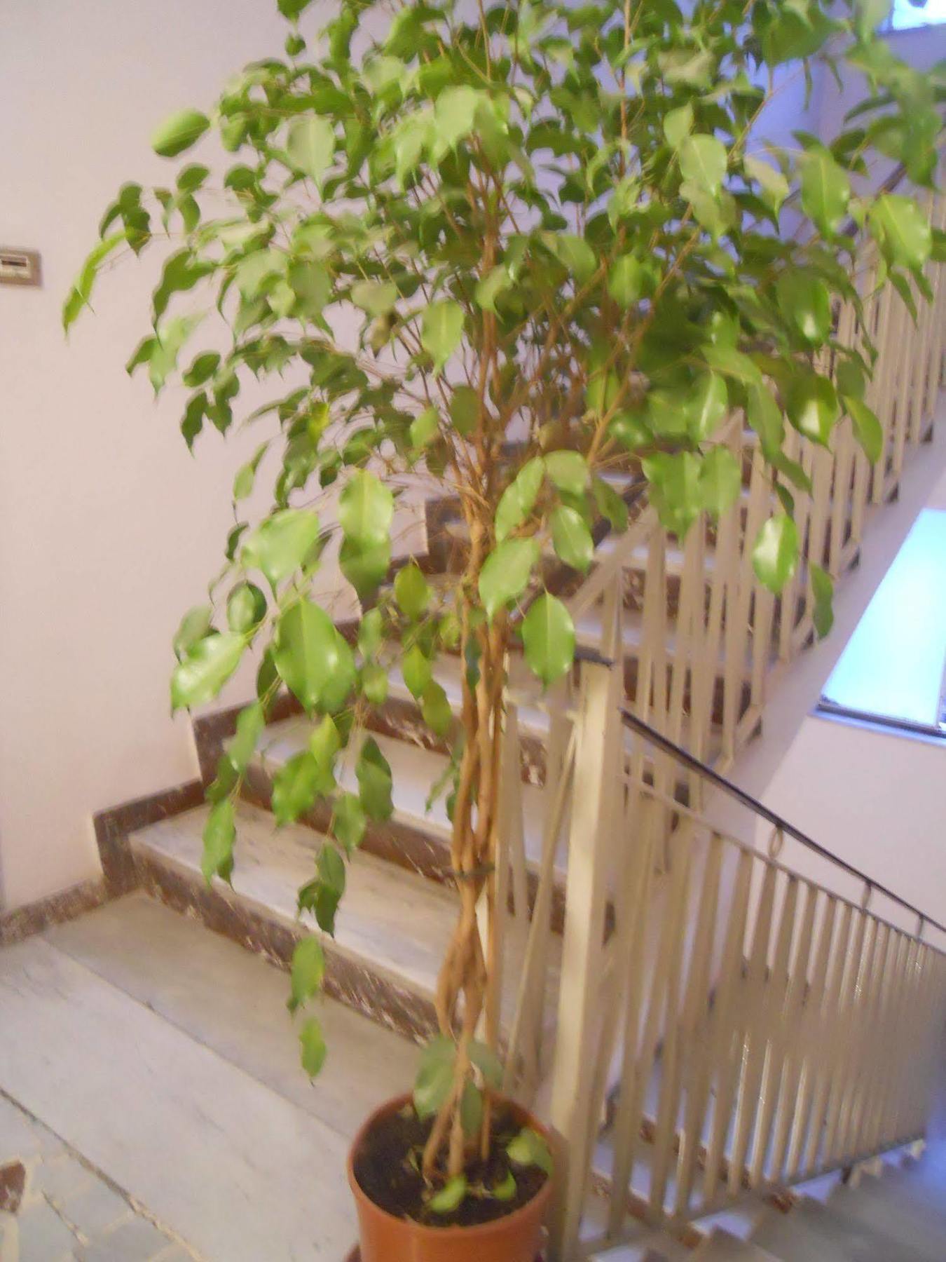 Catania Crossing B&B - Rooms & Comforts エクステリア 写真